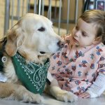The Benefits of Smoky Therapy Dogs for Emotional Well-being