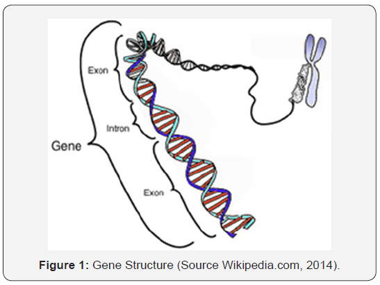 Gen Z menggunakan skincare lokal
