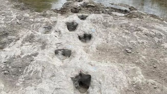 80505-jejak-dinosaurus-berusia-113-juta-tahun-lalu.jpg 80505 jejak dinosaurus berusia 113 juta tahun lalu