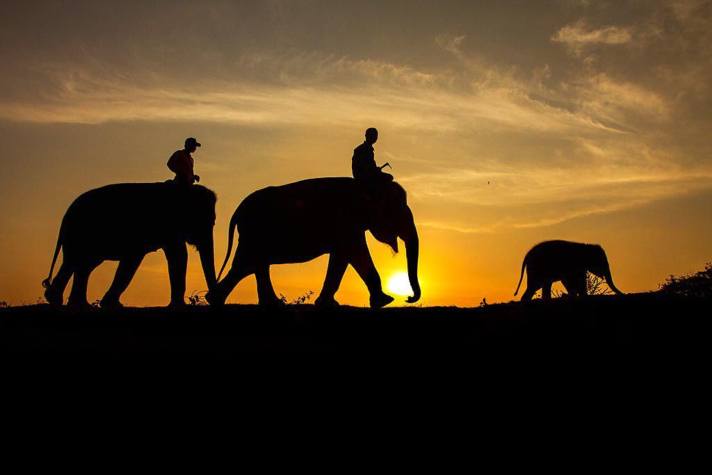 AA1RRv9N.jpg AA1RRv9N