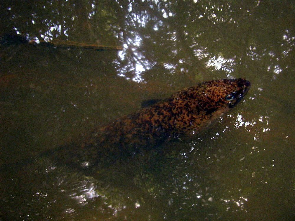 AA1RsTb8.jpg AA1RsTb8