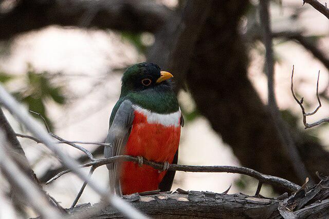 AA1RygEk.jpg AA1RygEk