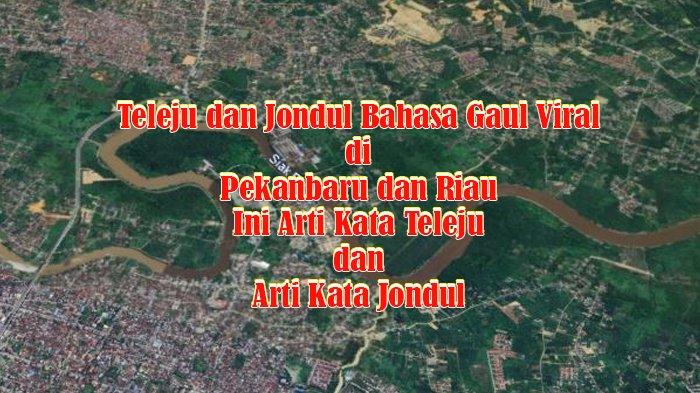 Teleju dan Jondul Bahasa Gaul Viral di Pekanbaru dan Riau Ini Arti Kata Teleju dan Arti Kata Jondul