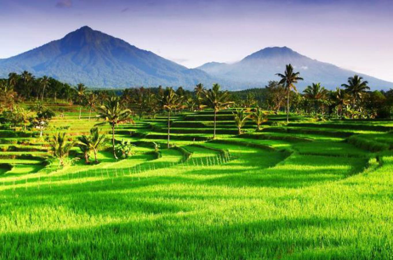 sedang 1519093467tanah desa